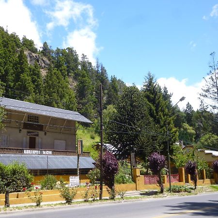 Sacromonte Apart San Martín de los Andes Dış mekan fotoğraf