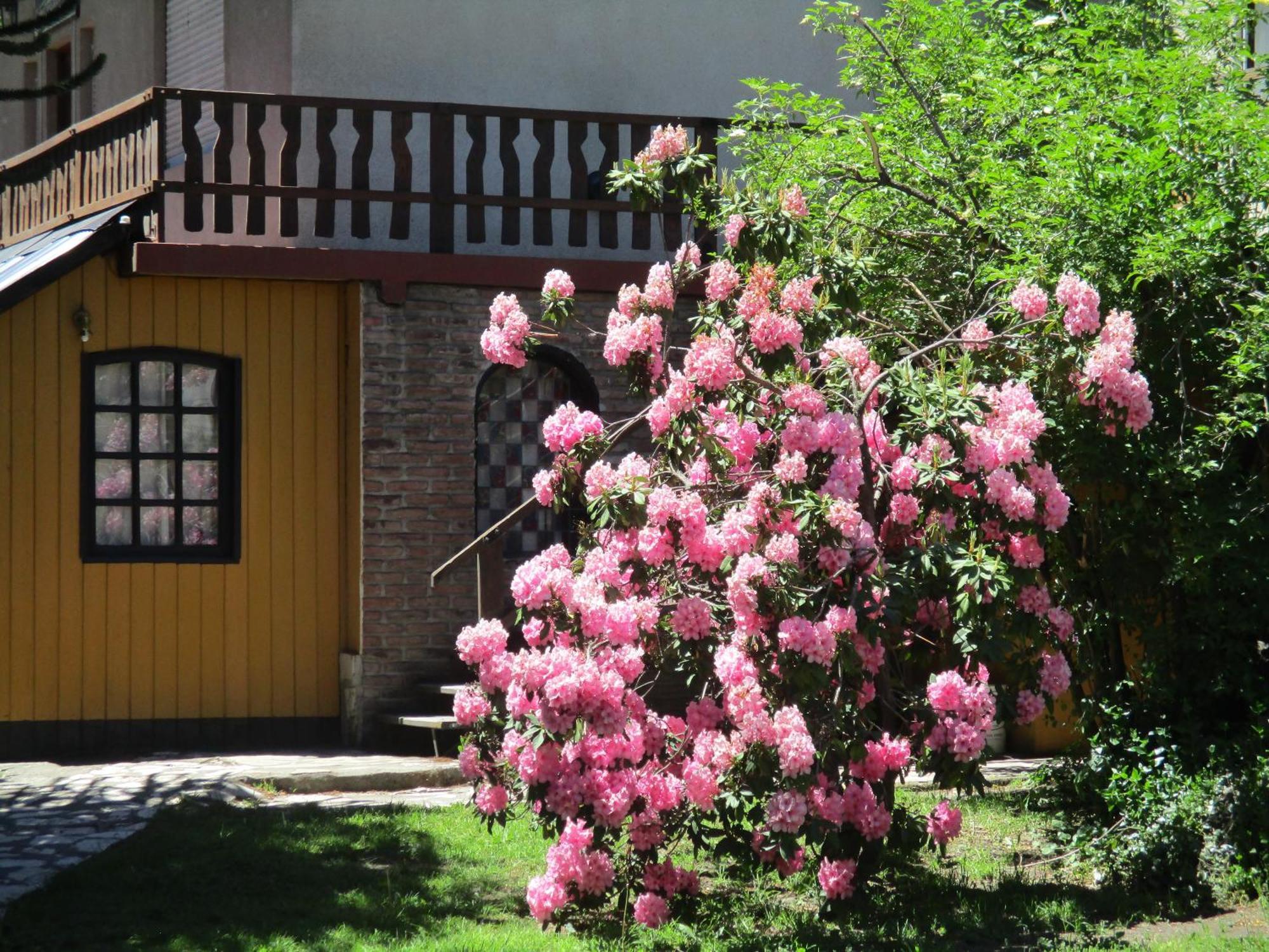 Sacromonte Apart San Martín de los Andes Dış mekan fotoğraf